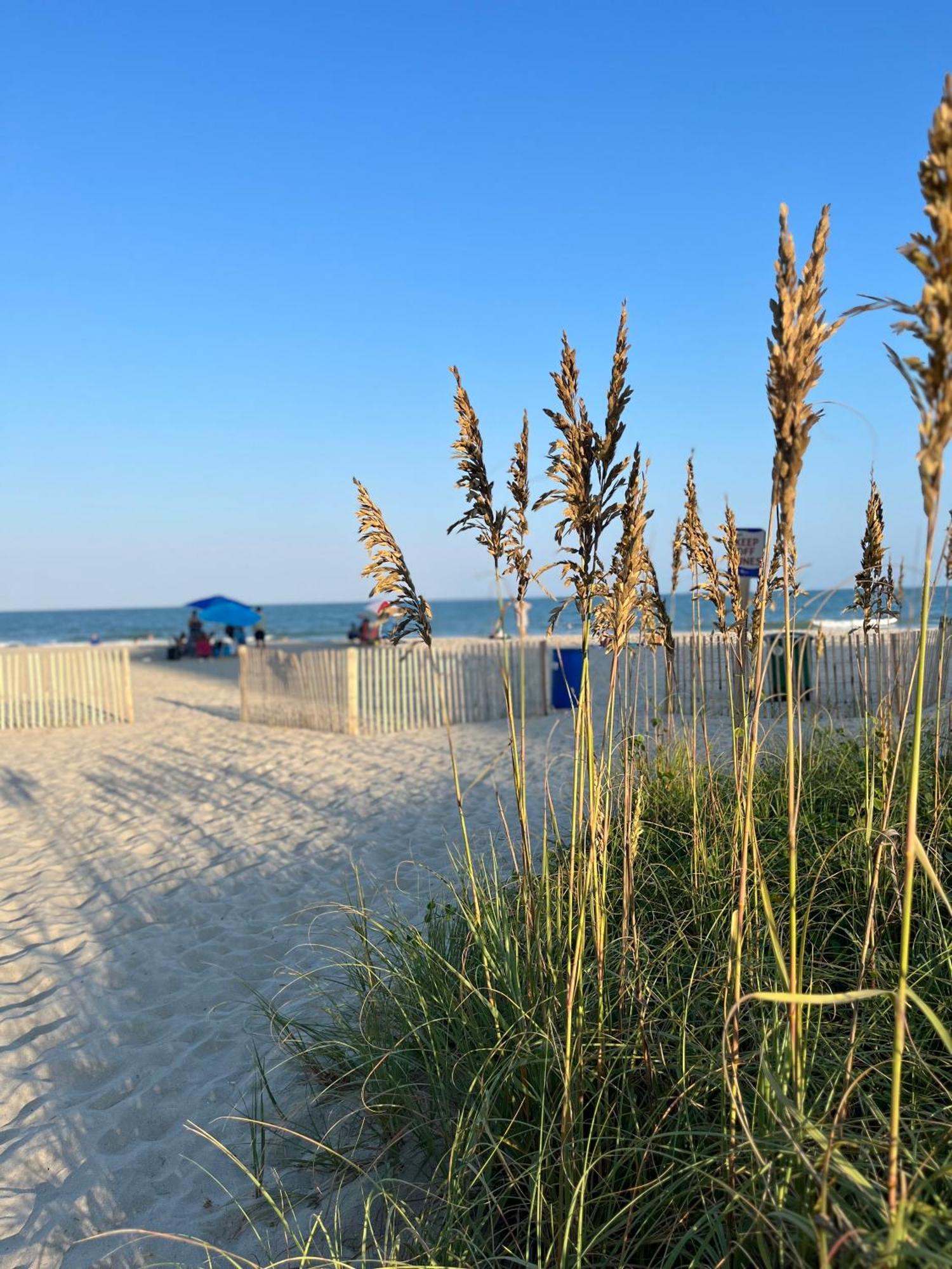 Ocean Dream Vacation Aparthotel Myrtle Beach Bagian luar foto