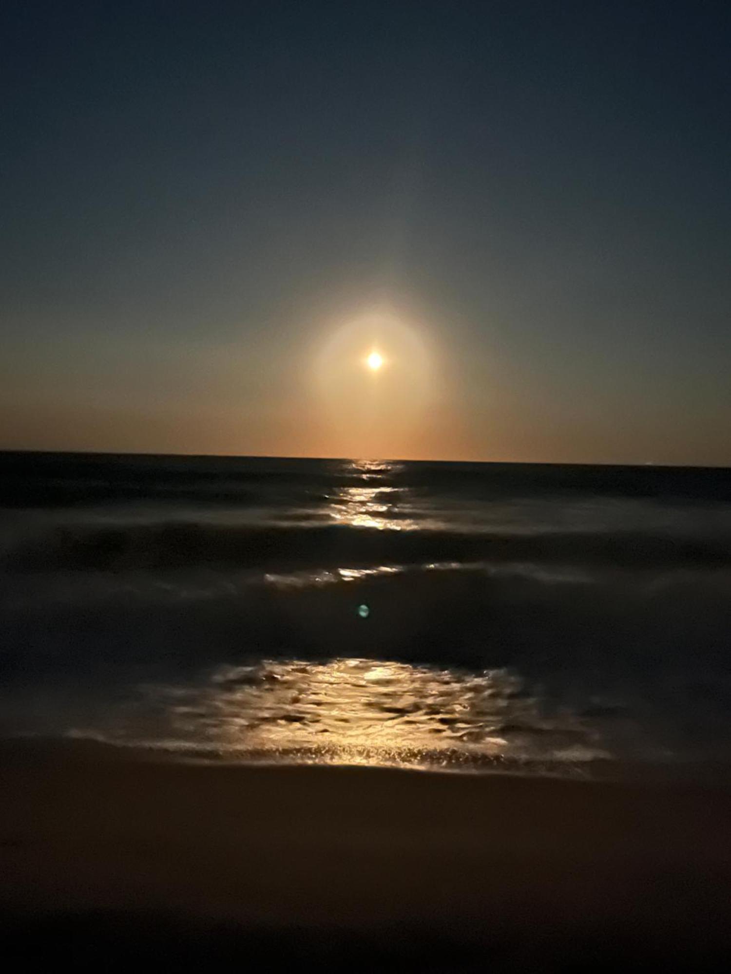 Ocean Dream Vacation Aparthotel Myrtle Beach Bagian luar foto
